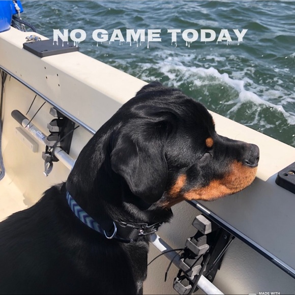 🐿# 2 Like NEW FOLLOW GAME-listing #3 🐿 - Picture 16 of 16